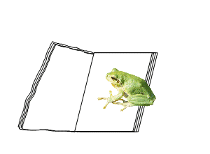 Literatur- noch mehr zum Lesen! © U. Manzke Literatur- noch mehr zum Lesen! © U. Manzke