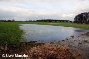 © U. Manzke © U. Manzke