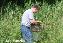 Wiederansiedlung Laubfrosch in den Sohrwiesen © U. Manzke