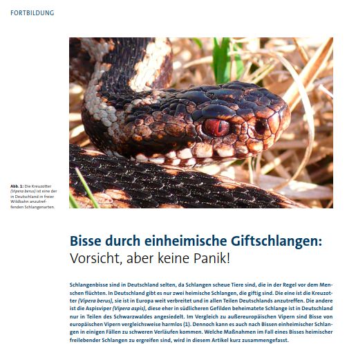Giftschlangenbisse © skverlag pic