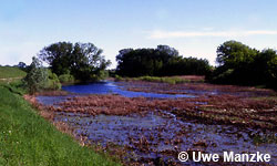 Untere-Mittel-Elbe, binnendeichs