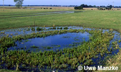 Untere-Mittel-Elbe, binnendeichs