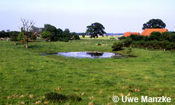 Untere-Mittel-Elbe, binnendeichs