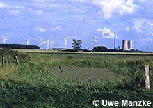 Das letzte Laubfroschgewässer am Hämelerwald, 2004 verstummte das Laubfroschkonzert. © U. Manzke pic