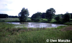 Viehtränken, Lk. Uelzen