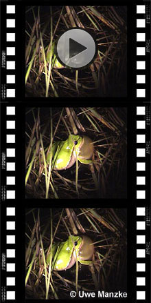 Filmstreifen Filmstreifen